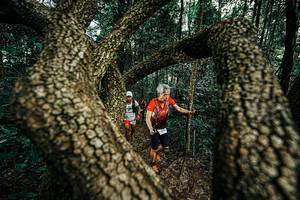 BIB: 
                            <button type="button" onclick="openModal(25393679)" class="btn btn-primary btn-sm float-right btn-popup" data-toggle="modal" data-target=".modal-high-quality">
                        <i class="fas fa-shopping-cart"></i> Add to Cart
                    </button>
                                            <button type="button" onclick="isThisMe(25393679, true)" class="btn btn-success btn-sm float-right btn-popup btn-isme hidden" data-toggle="tooltip" data-placement="bottom" title="นี่คือรูปของคุณใช่ไหม คลิกที่นี่เพื่อเอาเข้าอัลบั้ม">
                        <i class="fas fa-plus"></i> Add to album
                    </button>
                    <button type="button" onclick="isThisMe(25393679, false)" class="btn btn-warning btn-sm float-right btn-popup btn-isnotme hidden">
                        <i class="fas fa-ban"></i> Remove from album
                    </button>